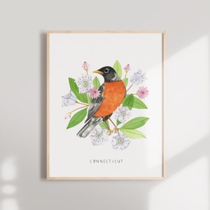 Connecticut State Bird Art Print | American Robin and Mountain Laurel - State Flower - State Bird - Connecticut Wall Art - Home Decor