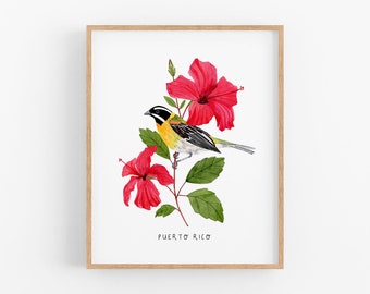 Puerto Rico Bird and Flower Art Print | Puerto Rican Spindalis and Hibiscus (Flor de Maga) - Puerto Rico Wall Art - Watercolor Home Decor