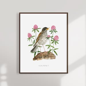 Vermont State Bird Art Print | Vermont Hermit Thrush and Red Clover - State Flower - State Bird - Vermont Wall Art - Watercolor Home Decor