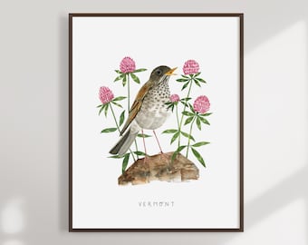 Impresión artística en acuarela del zorzal ermitaño de Vermont / Ave y flor estatal