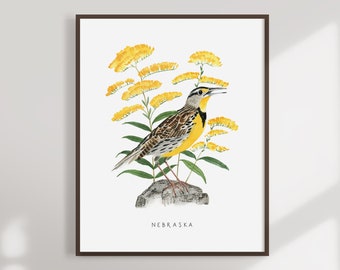 Nebraska State Bird Art Print | Meadowlark and Goldenrod Watercolor