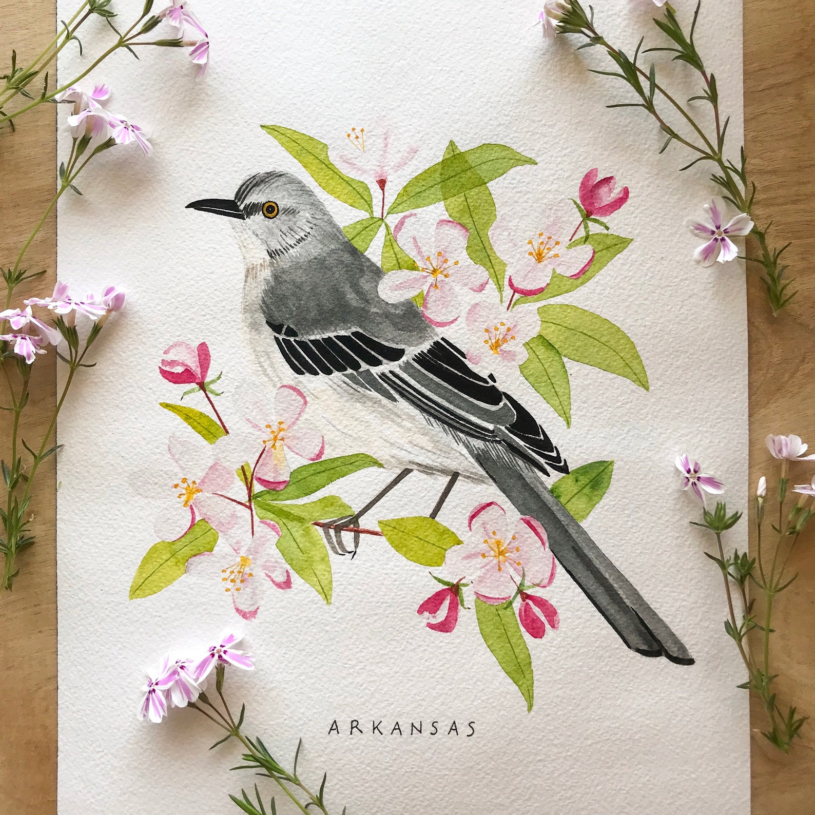 Arkansas State Bird Art Print | Mockingbird and Apple Blossom ...