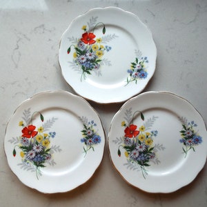 Set Of 3 Queen Anne Bone China Tea Plates Or Cake Plates. Queen Anne Summertime China Side Plates. Trio Spares For An Afternoon Tea Party