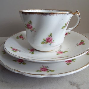 Vintage Teacup and Saucer With Pink Roses. English Salisbury China Pink And White Tea Cup Trio and Cake Plate, 1950. For A Vintage Tea Party