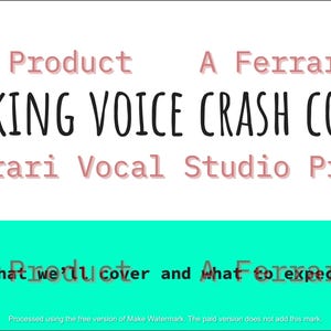 Op de afbeelding: Een turquoise en witte afbeelding met de tekst "SPEAKING VOICE CRASH COURSE" in zwart. De tekst "Studio Product A Ferrari Vocal" wordt herhaald in roze en wit.