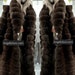see more listings in the Furs section
