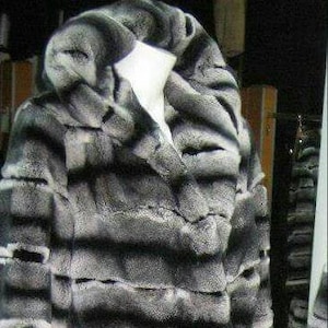 Chinchilla Coat Men Etsy UK