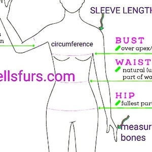 May include: Diagram showing how to measure different parts of the body for clothing, including bust, waist, hip, bicep, and sleeve length.  Angellsfurs.com is printed in purple at the bottom of the diagram.