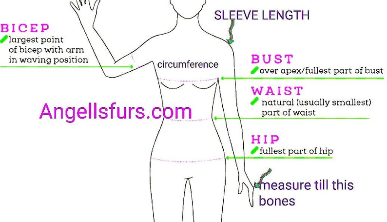 May include: Diagram showing how to measure different parts of the body for clothing, including bust, waist, hip, bicep, and sleeve length.  Angellsfurs.com is printed in purple at the bottom of the diagram.