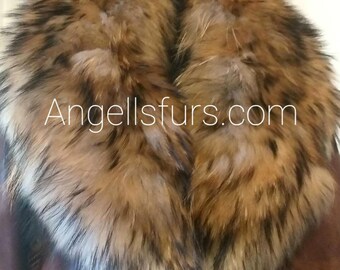 FINN RACCOON Fur collar!Brand New Real Natural Genuine Fur