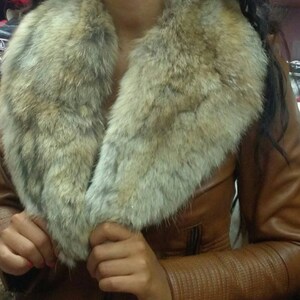 COYOTE PELZ COLLAR! Brandneuer Echtpelz
