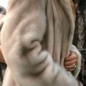 May include: A white fur coat with a hood. The coat is made of soft, luxurious fur and has a classic design.