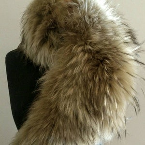 FINN RACCOON Fur collar!Brand New Real Natural Genuine Fur