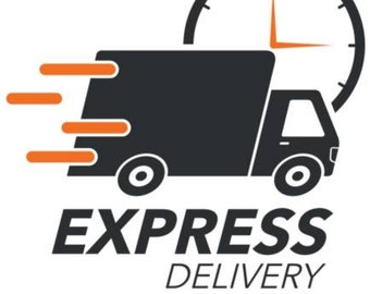 Express courier