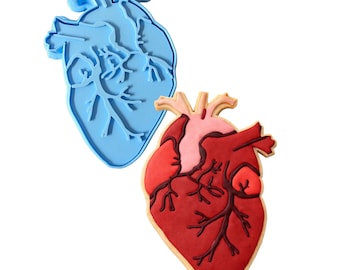 Anatomical Heart Cookie Cutter | Stamp | Stencil - SHARP EDGES - FAST Shipping - Choose Your Own Size!