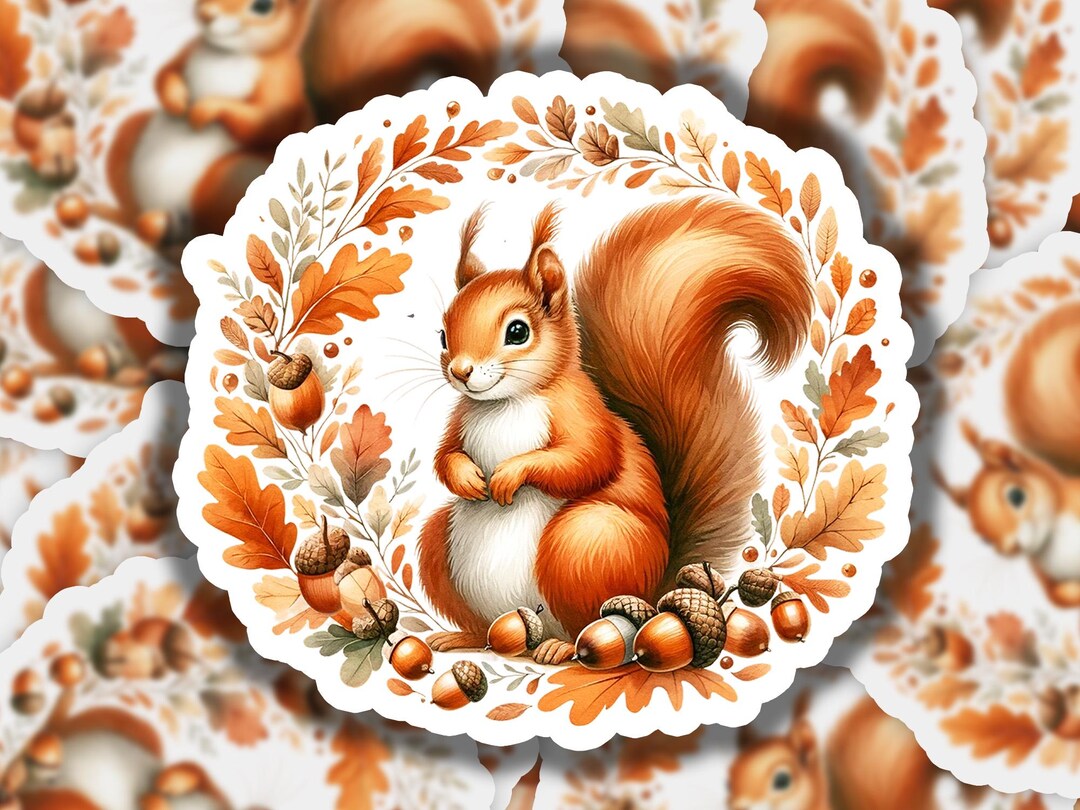 Squirrel Acorns 1 Vinyl Sticker | Waterproof & Durable | Animal Sticker ...