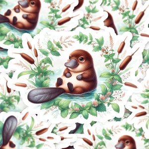 Baby Platypus Watercolor Flower Wreath 2 Vinyl Sticker | Dishwasher Safe & Durable | Custom Sizes | Fast Shipping | Made in USA
