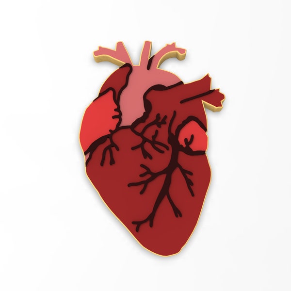 Anatomical Heart Cookie Cutter | Stamp | Stencil - SHARP EDGES - FAST Shipping - Choose Your Own Size!