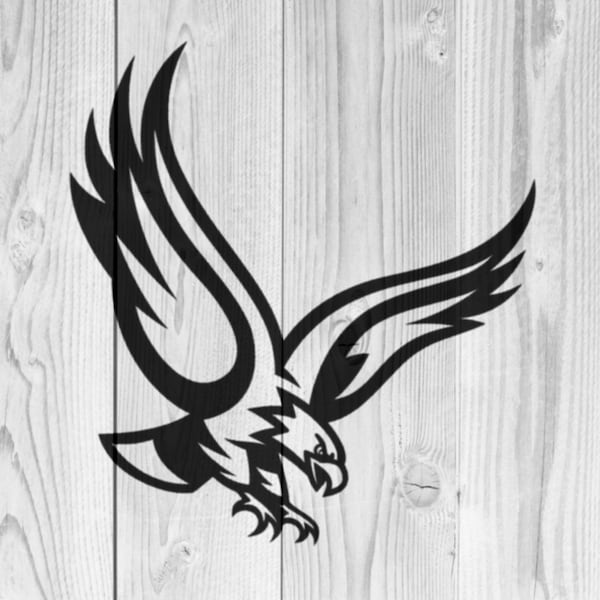 Hawk Stencil | REUSABLE, DURABLE, WASHABLE Craft Stencil | Use for Signs, Walls, Canvas & More! Eagle
