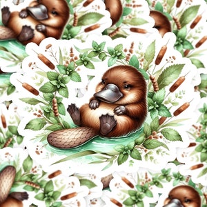 Baby Platypus with Watercolor Flower Wreath 1 Vinyl Sticker | Dishwasher Safe & Durable | Custom Sizes | Fast Shipping | Made in USA