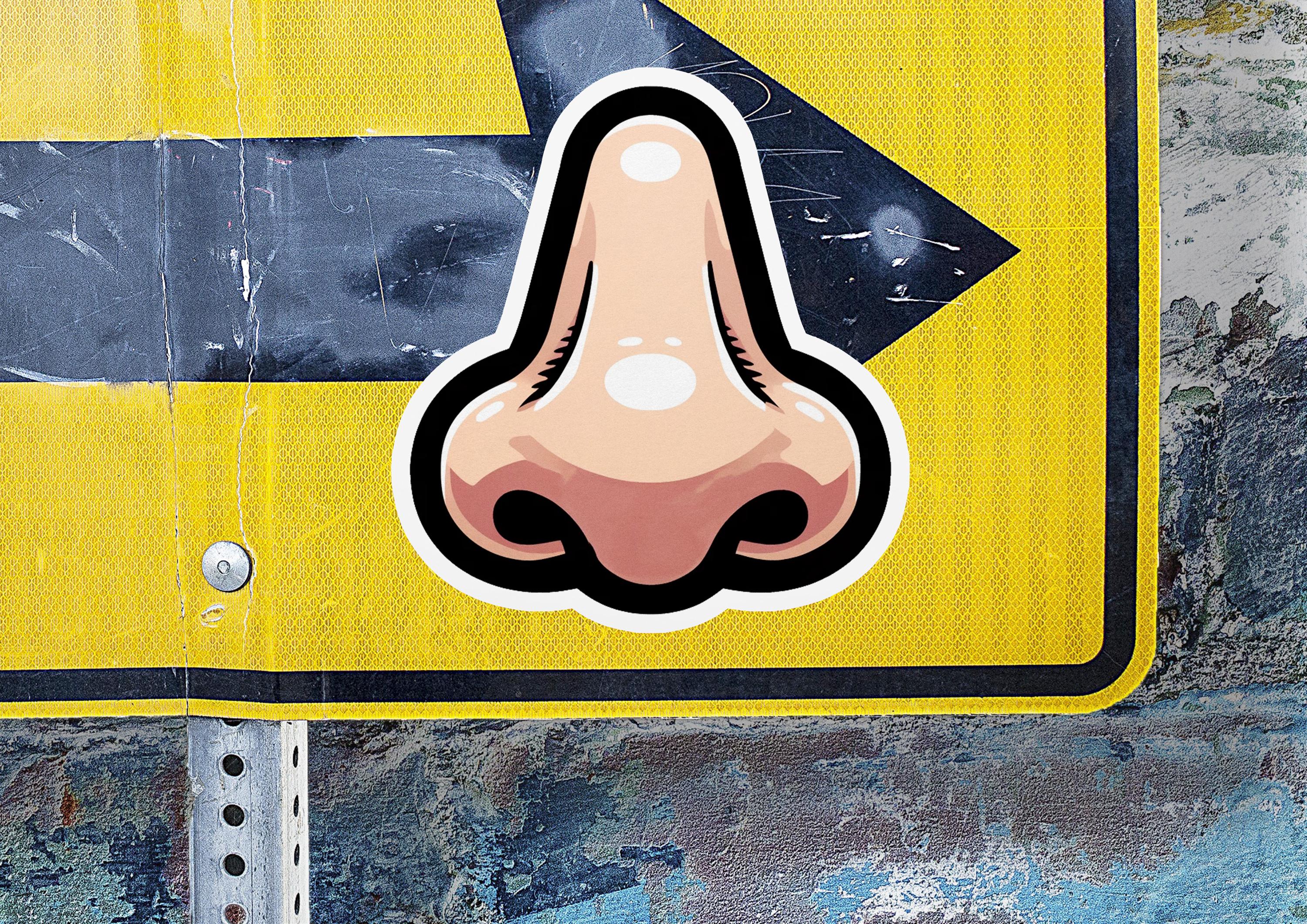 Simple Nose Sticker Nose Vinyl Sticker | Dishwasher Safe & Durable | Custom Sizes | Fast ...