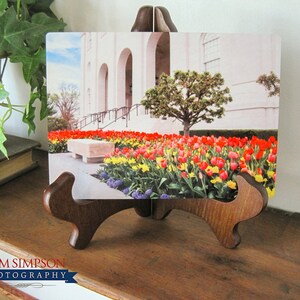 Nauvoo Temple Tulip Splendor | Metal Print | LDS Artwork