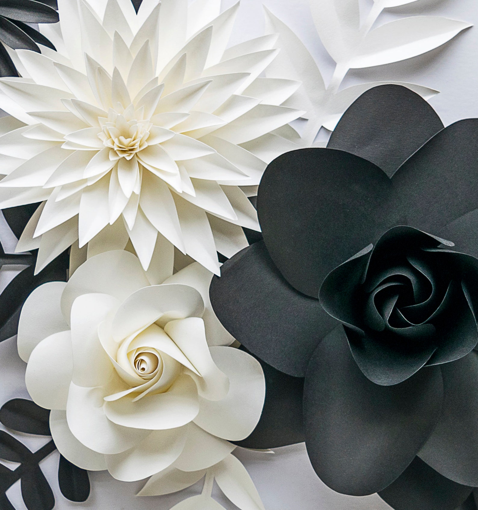 Black and White Flowers Black White Wall Art Monochrome Etsy