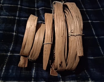 1 1/2" Hickory bark Lot #250106