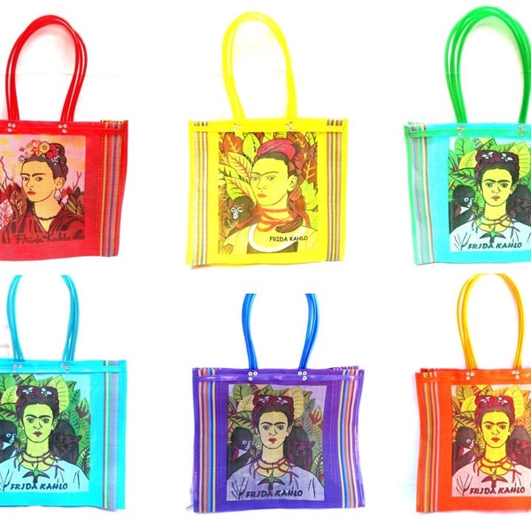 Frida market bag, oaxacan handwoven plastic tote