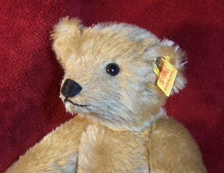 24 inch Margaret Woodbury Strong Museum Steiff Teddy Bear