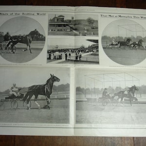 1903 Evening Mail Centerfold Print Dan Patch Trotting World Horse Race Memphis Track   (HW20)