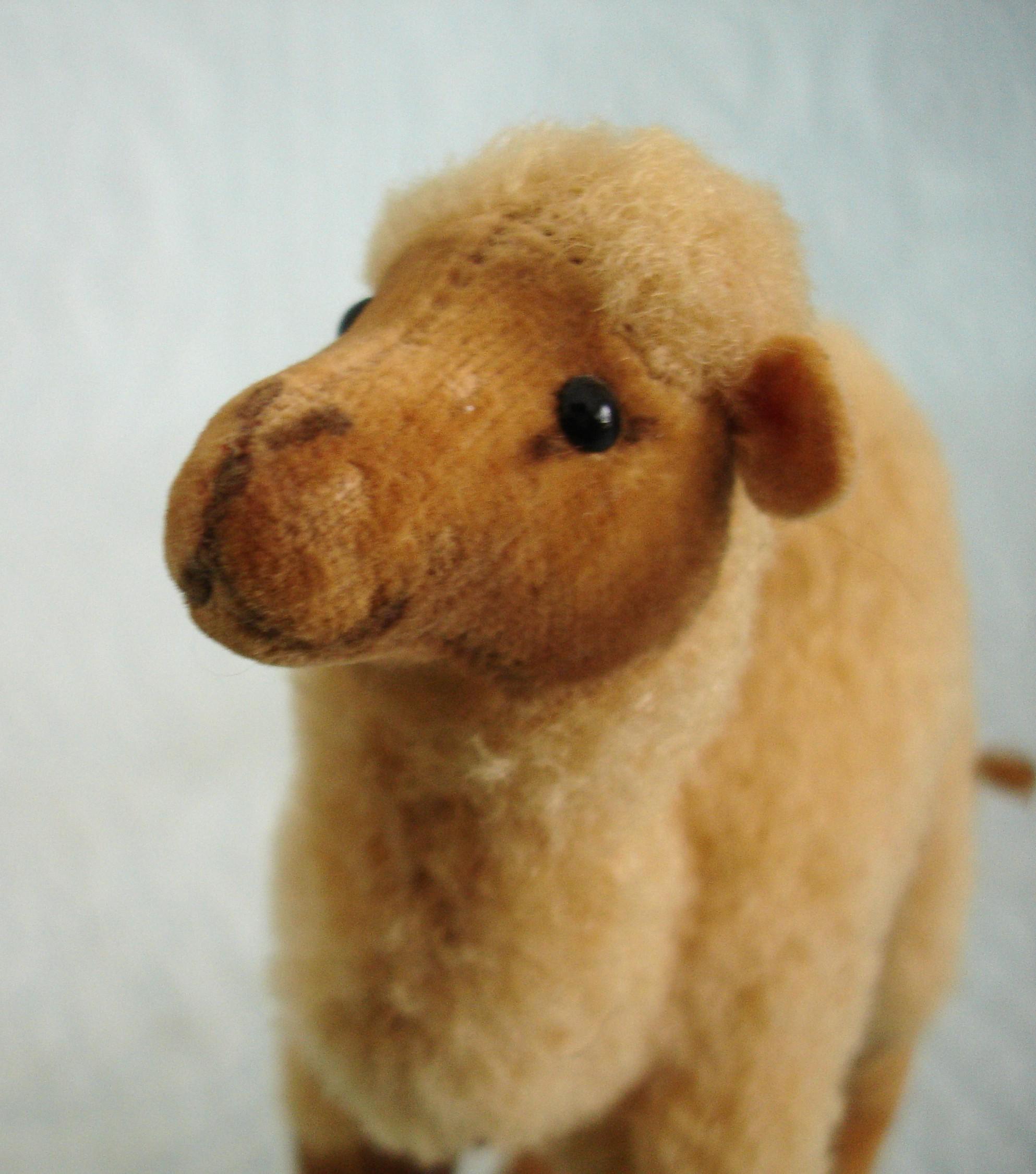 Steiff Camel - Etsy