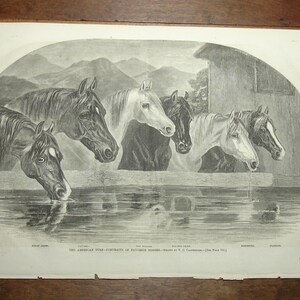 Ethan Allen Horse - Etsy