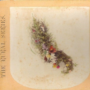 Stereoscope kaart bloemstuk antieke 3-D kleur foto, Amerika geïllustreerd, landelijke serie #14