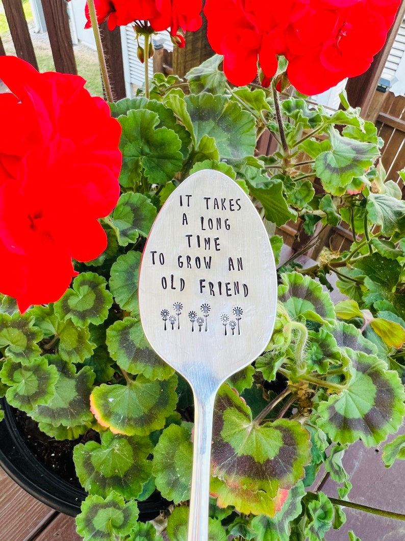 It takes a long time to grow an old friend, plant marker, plant stake, garden marker, plant gift, friend gift, garden gift bild 6