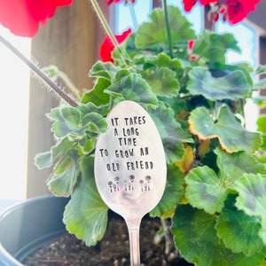 It takes a long time to grow an old friend, plant marker, plant stake, garden marker, plant gift, friend gift, garden gift bild 10
