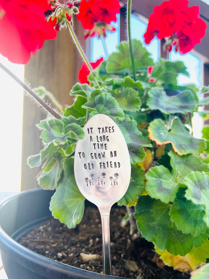 It takes a long time to grow an old friend, plant marker, plant stake, garden marker, plant gift, friend gift, garden gift bild 10
