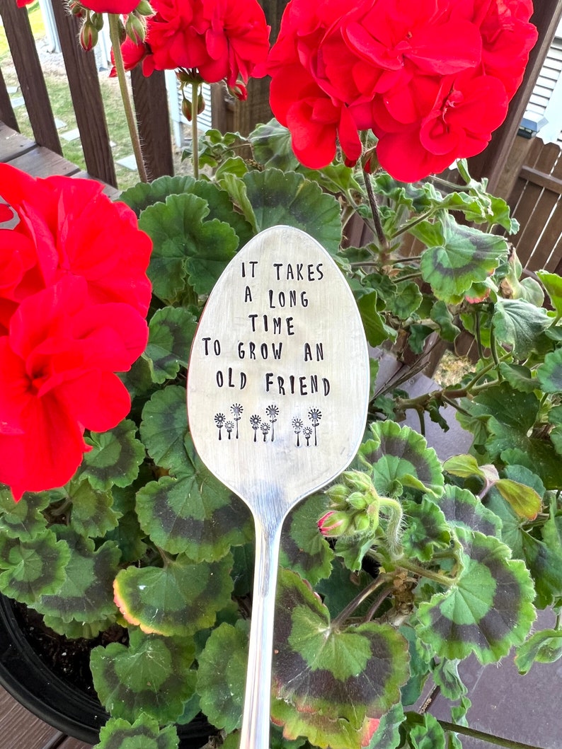 It takes a long time to grow an old friend, plant marker, plant stake, garden marker, plant gift, friend gift, garden gift bild 7