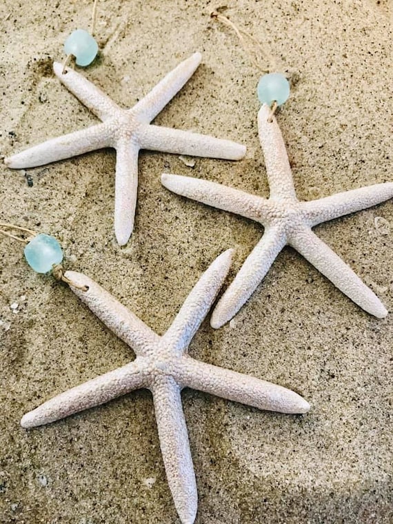 Sea and ocean small shells. Dried starfish can be used as decorations,  ornaments, or jewelry. They can also be used in crafts such as wreaths,  wall Stock Photo - Alamy, Star Fish