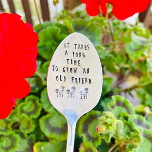 It takes a long time to grow an old friend, plant marker, plant stake, garden marker, plant gift, friend gift, garden gift bild 9