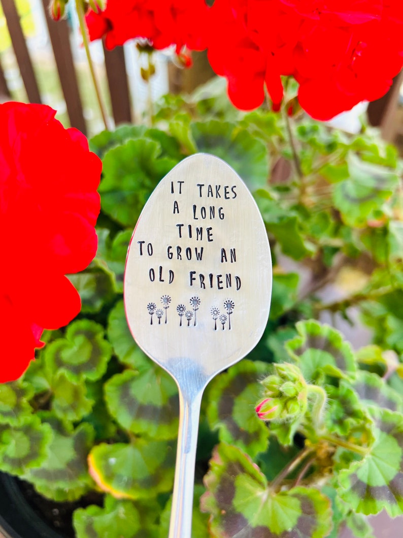 It takes a long time to grow an old friend, plant marker, plant stake, garden marker, plant gift, friend gift, garden gift bild 9