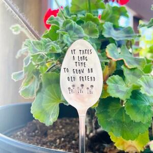 It takes a long time to grow an old friend, plant marker, plant stake, garden marker, plant gift, friend gift, garden gift bild 8
