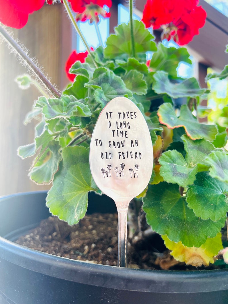 It takes a long time to grow an old friend, plant marker, plant stake, garden marker, plant gift, friend gift, garden gift bild 8