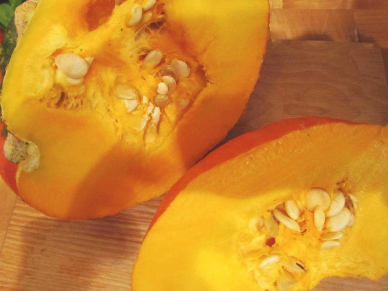 Turk/'s Turban Winter Squash 10 Seeds Turks Cap Heirloom Ornamental Gourd Edible