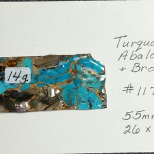 Abalone & Kingman Blue Turquoise, Turquoise Slab For Cabochons, Jewelry Making, Cabochon Making,  Lapidary Slab, Bronze Matrix