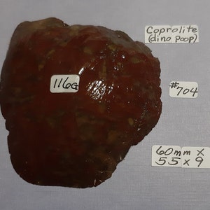 May include: A reddish-brown coprolite, or fossilized dinosaur dung, measuring 60mm x 55mm x 9mm. It weighs 116g and is labeled #704.  Coprolite (dino poop).