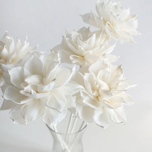 Reed Diffuser Set of 5 Dahlia  3 Inch Sola Wood Flower  for Home Fragrance by Plawanature.