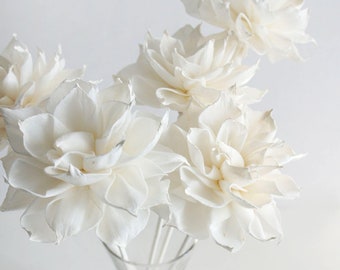 Reed Diffusor Set von 5 Dahlia 3 Zoll Sola Holz Blume für Home Duft von Plawanature.