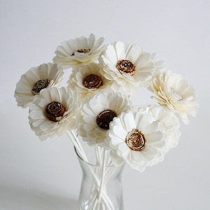 May include: A bouquet of white sola wood flowers with brown centres arranged in a clear glass vase. The flowers are on thin white stems.