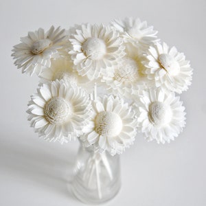 10 White Daisy 2&quot; Sola Flower Reed Diffuser for Home Fragrance by Plawanature